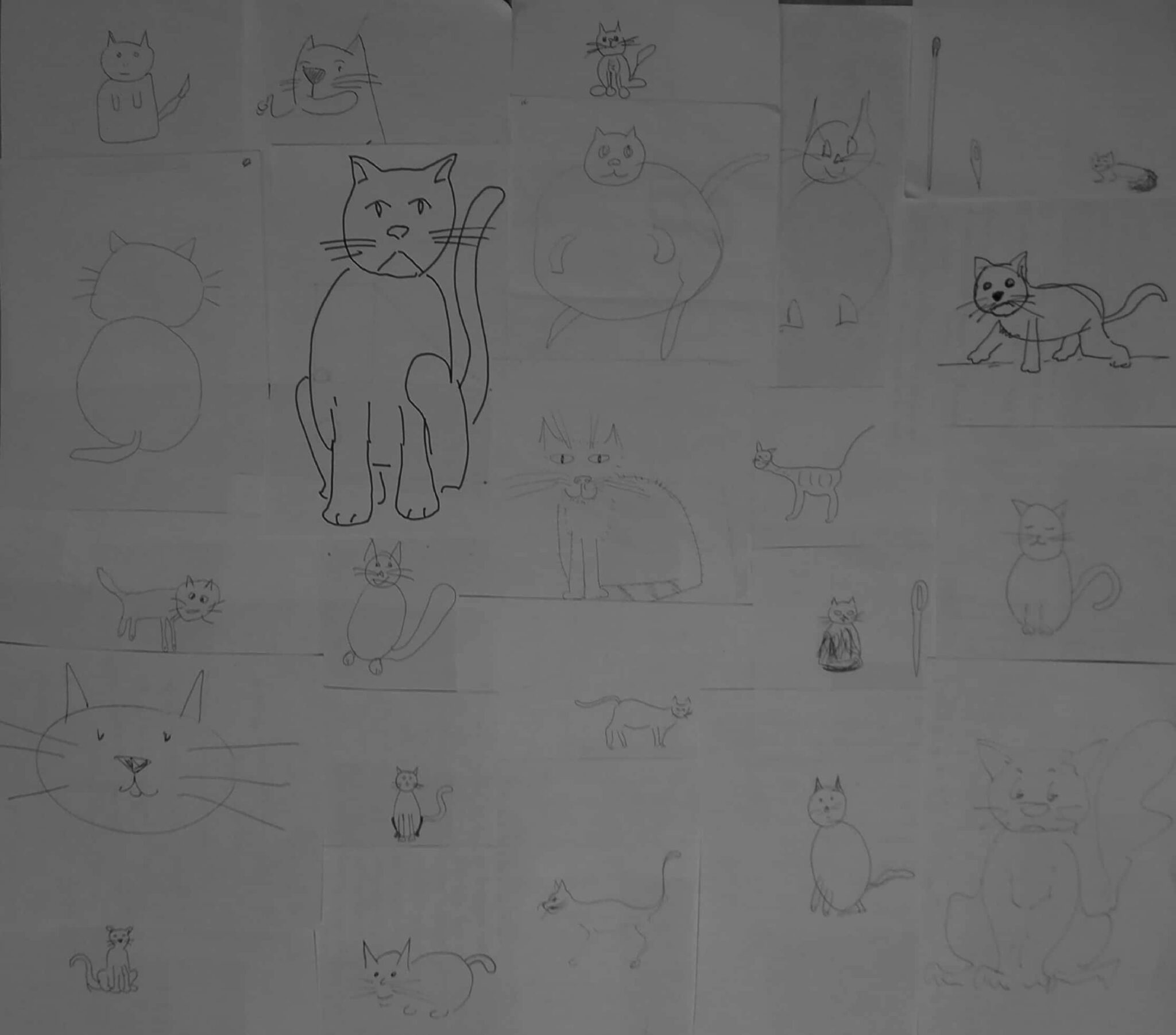 Dessins de chat très variés