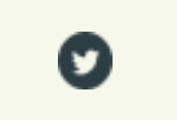 CSS est activé, seule l’icône Twitter est visible
