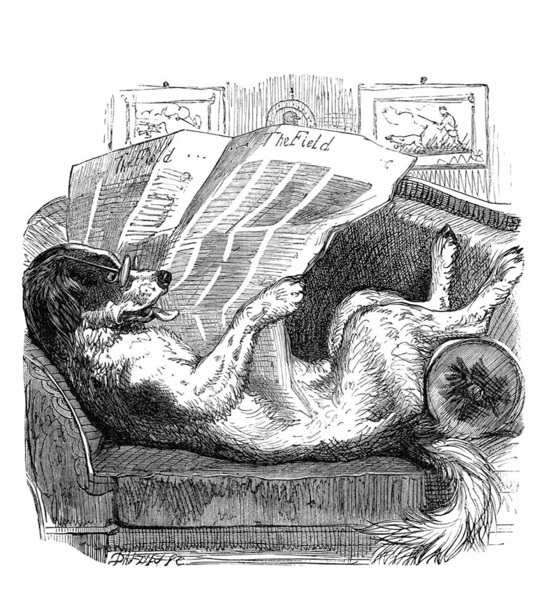 Illustration en noir et blanc. Un chien portant des lunettes lit un journal, affalé dans un fauteuil.